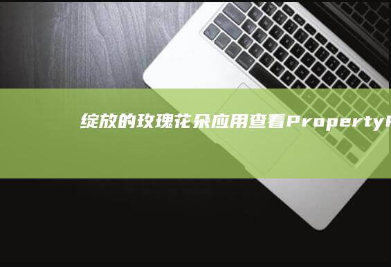 绽放的玫瑰花朵应用查看PropertyParams